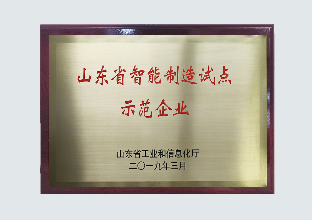 3-2019.3-shandongshengzhinengzhizaoshidianshifanqiye.jpg