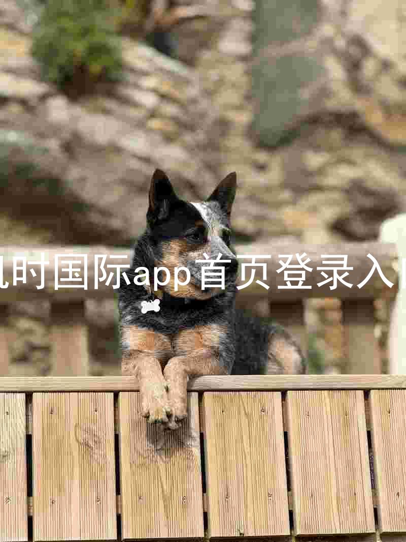 凯时国际app首页登录入口